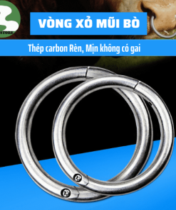 Vòng xỏ mũi bò inox