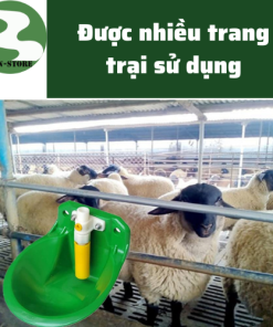 Máng nước tự động cho dê