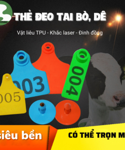 Thẻ tai bò dê heo