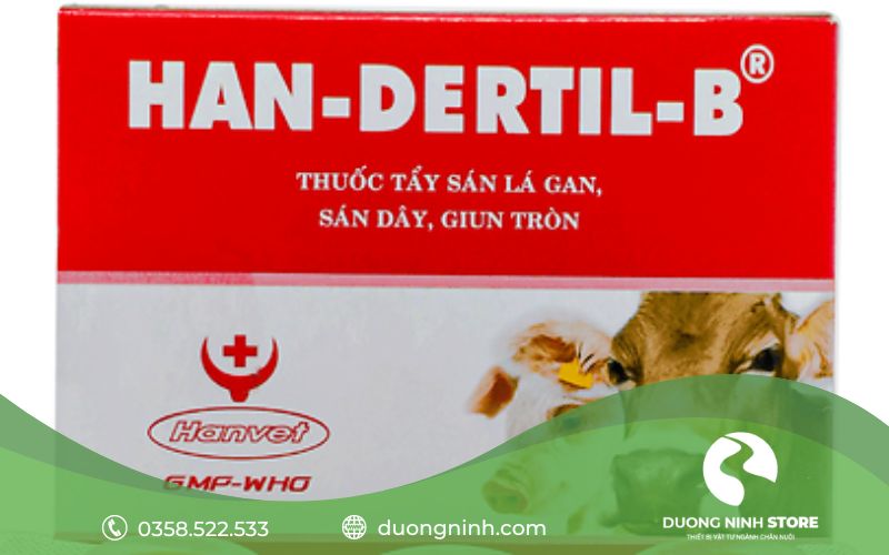 Điều trị sán lá gan ở trâu bò bằng Han.Dertil B