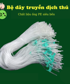 Dây Truyền dịch