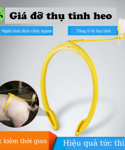 Giá đỡ thụ tinh heo