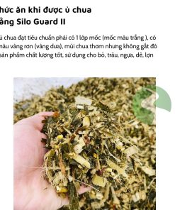 Men ủ cỏ silo guard