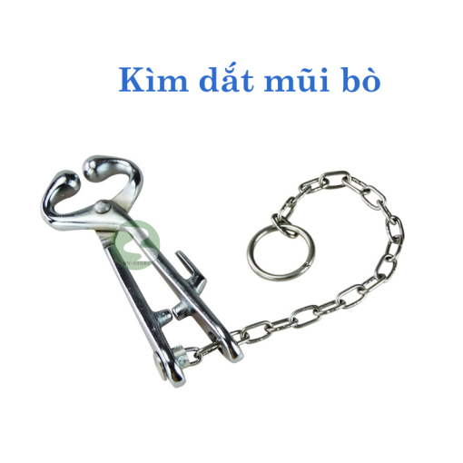 Kìm kẹp mũi bò