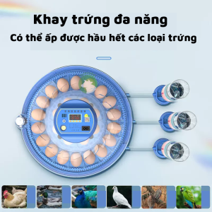 Máy ấp trứng mini thông minh