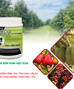 phân bón kích rễ A3M