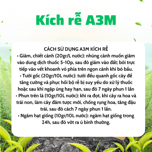 phân bón kích rễ A3M