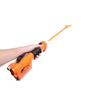 alt="roi đuổi heo